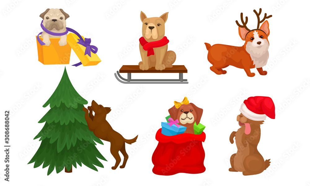 Christmas Dogs Collection, Cute Pets of Different Breeds with Holiday Accessories Vector Illustration Christmas Dogs Collection, Cute Pets of Different Breeds with Holiday Accessories Vector Illustration