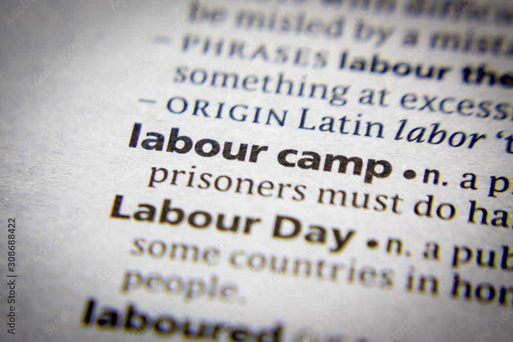 Obraz premium Word or phrase Labour camp in a dictionary.