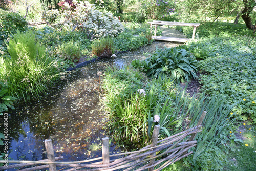 Jardin d eau au printemps