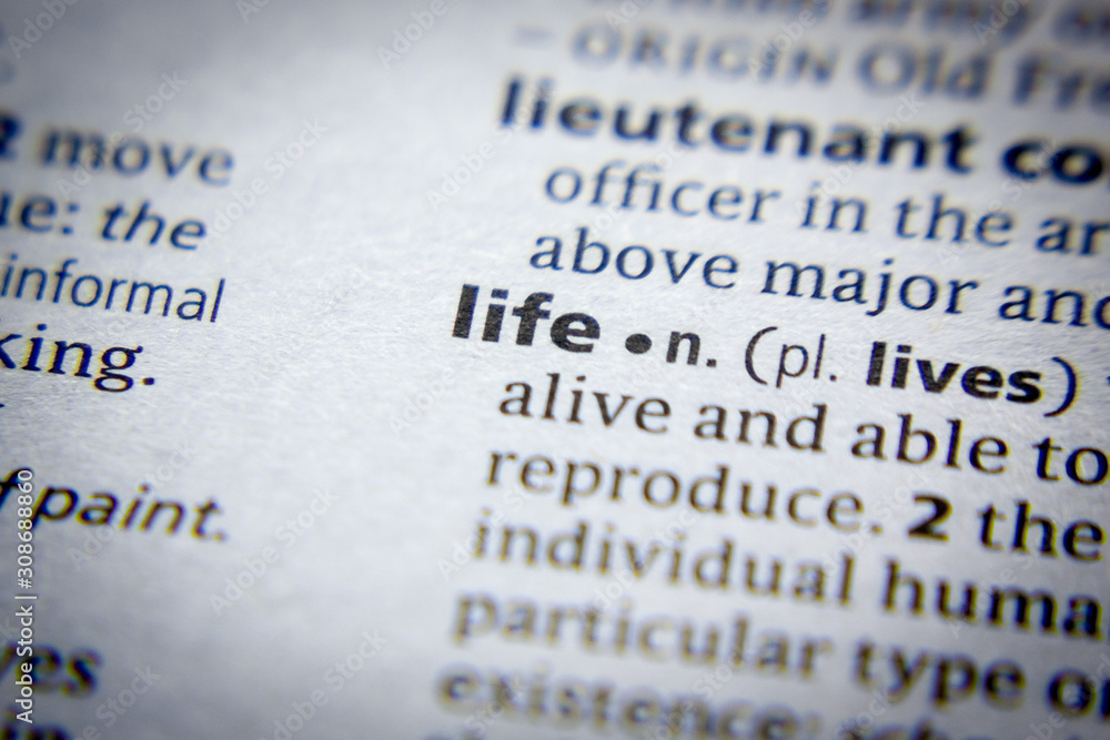 Obraz premium Word or phrase Life in a dictionary.