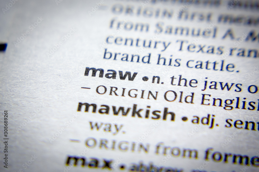 Obraz premium Word or phrase Maw in a dictionary.