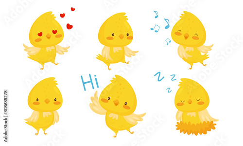 Cute Chicken Cartoon Chracters, Emotional Funny Bird in Different Situations Vector Illustration