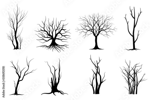 silhouette of a tree