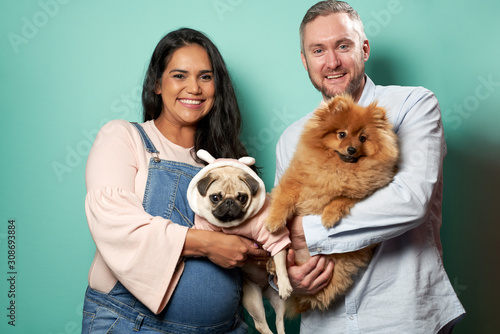 Pregnant girl and man hold dogs on hands on green background