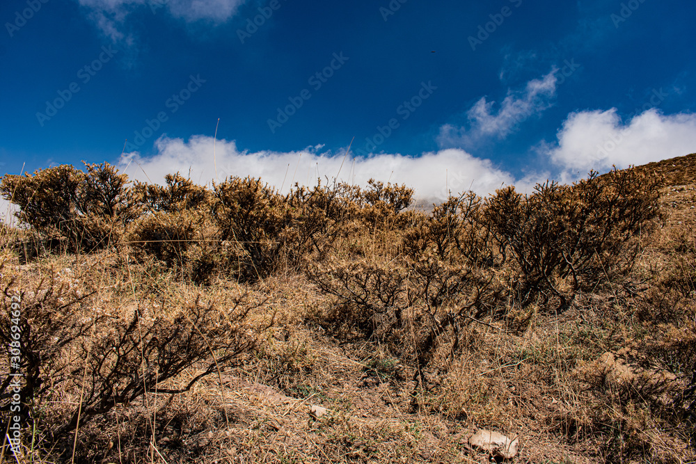 Landscape in the Sannine mountain region in Lebanon Landscape in the Sannine mountain region in Lebanon