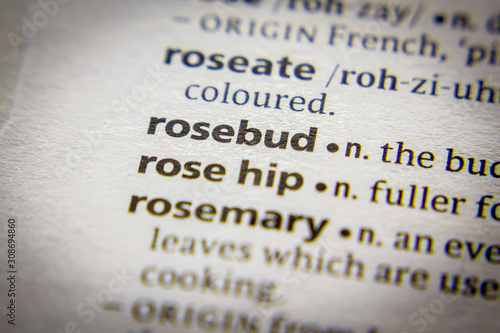 Word or phrase Rosebud in a dictionary.