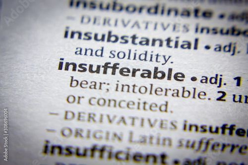 Word or phrase Insufferable in a dictionary.