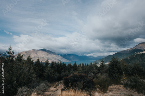 Amazing view from Queenstown hills with snow capped mountains and pine forest.