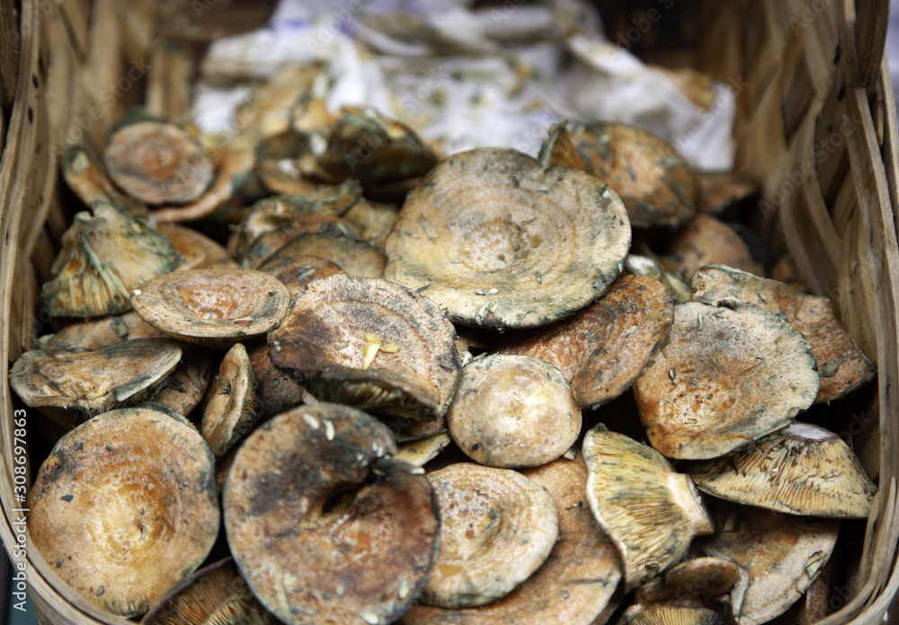 Mushrooms in market