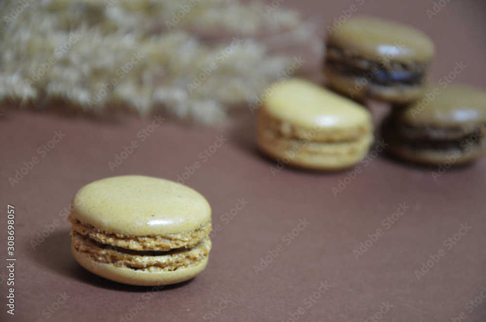 Colourful tasty macaroons in a row. macaroons of different colors on a brown background Colourful tasty macaroons in a row. macaroons of different colors on a brown background