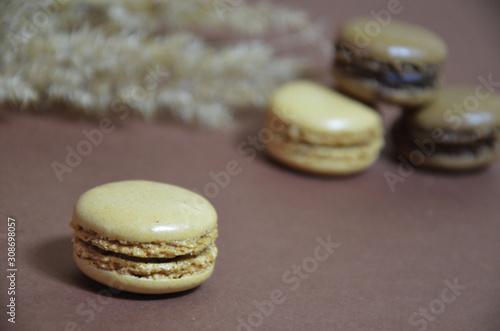 Colourful tasty macaroons in a row. macaroons of different colors on a brown background