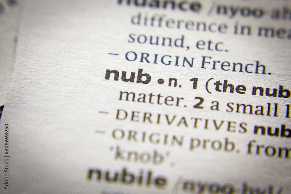 Obraz premium Word or phrase Nub in a dictionary.