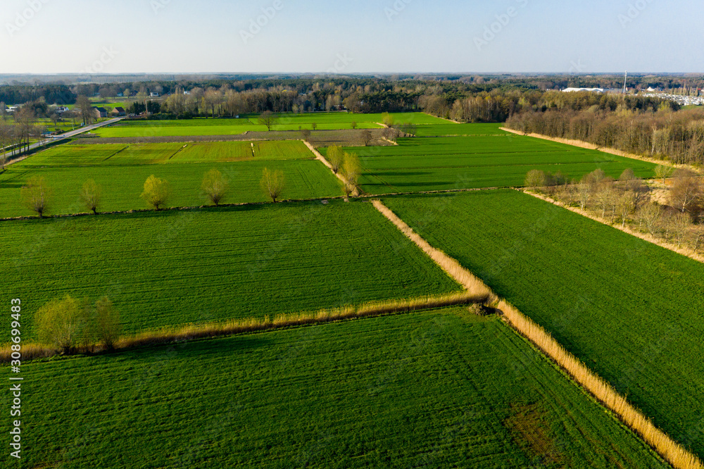 Naklejka premium Green meadows of East Flanders, Belgium - aerial view