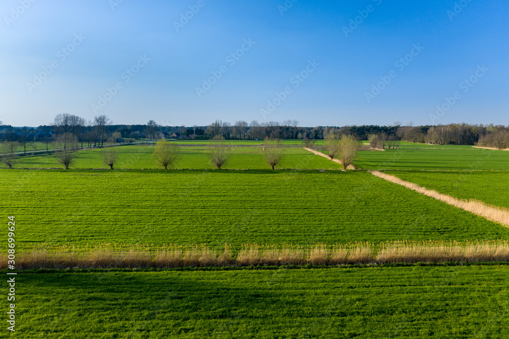 Green meadows of East Flanders, Belgium - aerial view