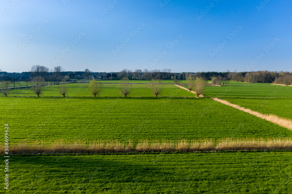 Green meadows of East Flanders, Belgium - aerial view Green meadows of East Flanders, Belgium - aerial view