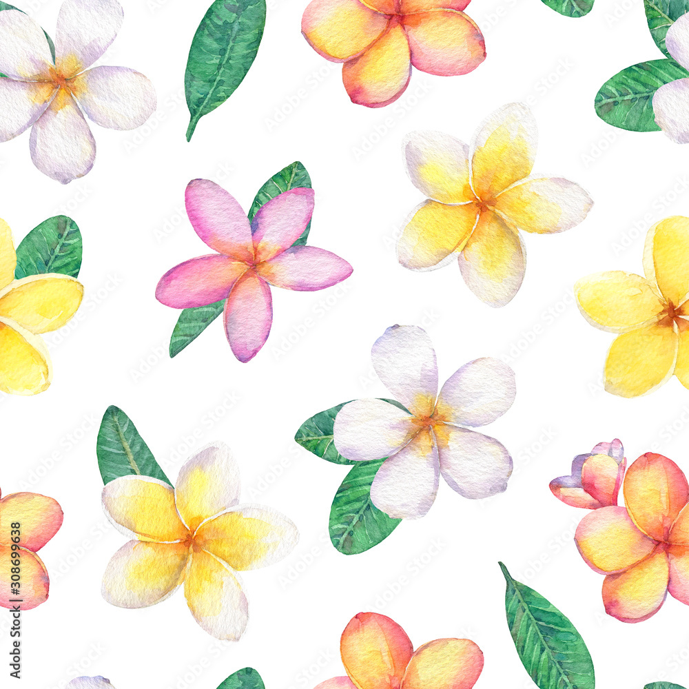 Seamless pattern with tropical flowers plumeria(frangipani).