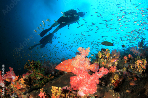 Fototapeta Naklejka Na Ścianę i Meble -  Scuba divers explore underwater coral reef 