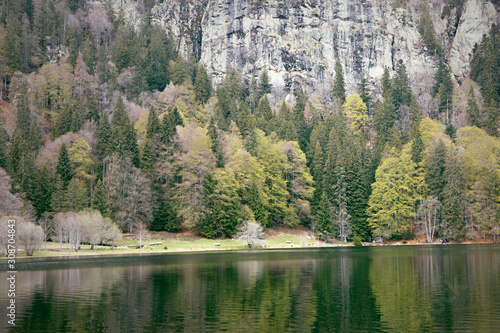 Feldsee. Feldberg lake. Early spring. Mountains, rocks and calm lake in woods. Black Forest. Schwarzwald, Germany. photo