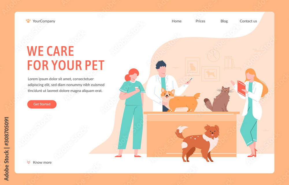 Veterinary clinical help. Dog and cat doctors giving vaccinations, measure temperature and take tests, domestic pets clinical examination vector illustration. Vet clinic landing page design template