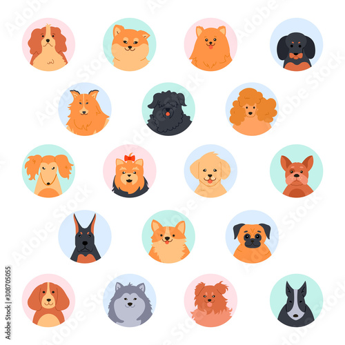 Pet cute faces. Cute dog head. Poodle, funny yorkshire terrier, pomeranian spitz and labrador retriever. Purebred dogs muzzle vector illustration set. Social network circular avatars. Flat icon pack