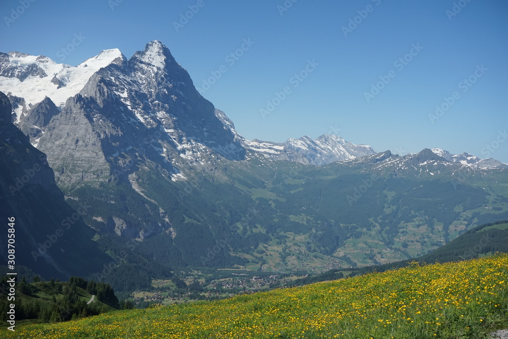Fototapeta premium Photo at Swiss alps nature mountain area
