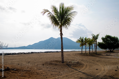 Palm trees on the Indian Ocean