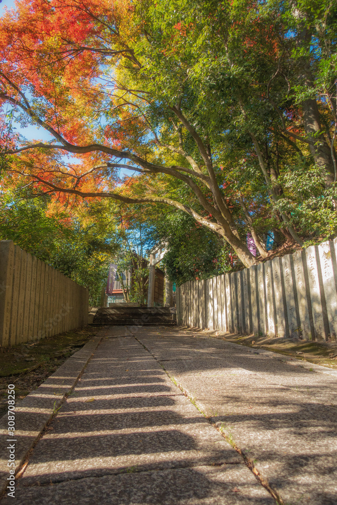 京都、松ヶ崎大黒天（妙円寺）の参道の紅葉風景です