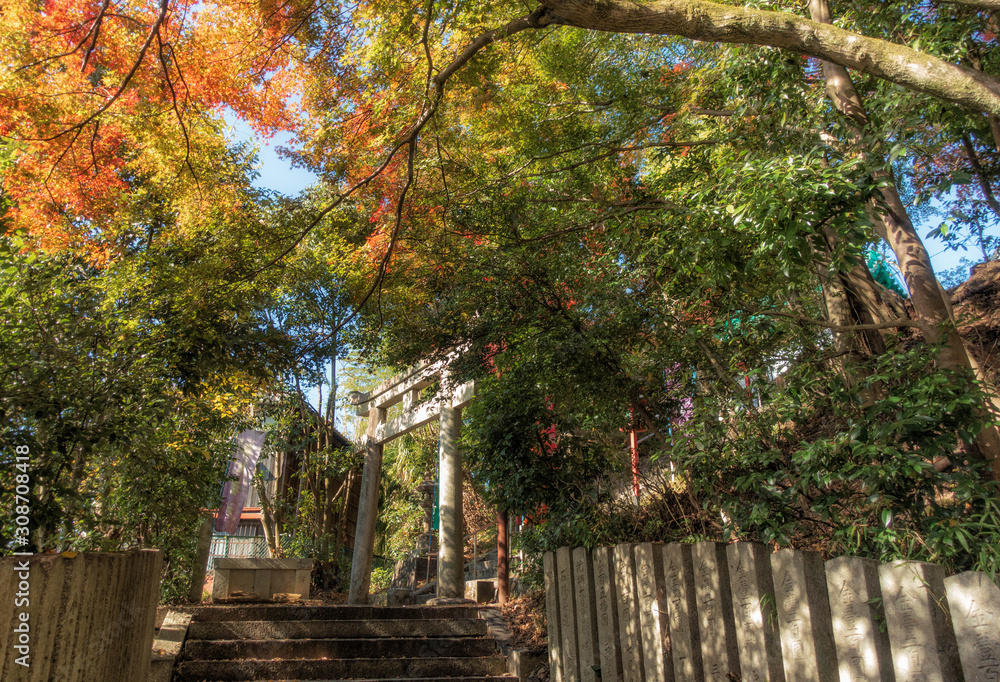 京都、松ヶ崎大黒天（妙円寺）の二の鳥居と紅葉の風景
