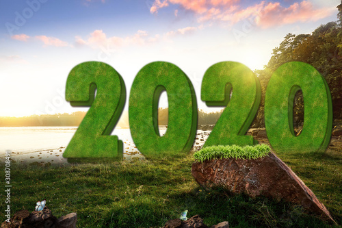 Happy new year 2020 on natural background