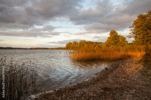 Beautiful warm evening sunlight at bank of lake Wizajny. Trees and reeds at lake shore.