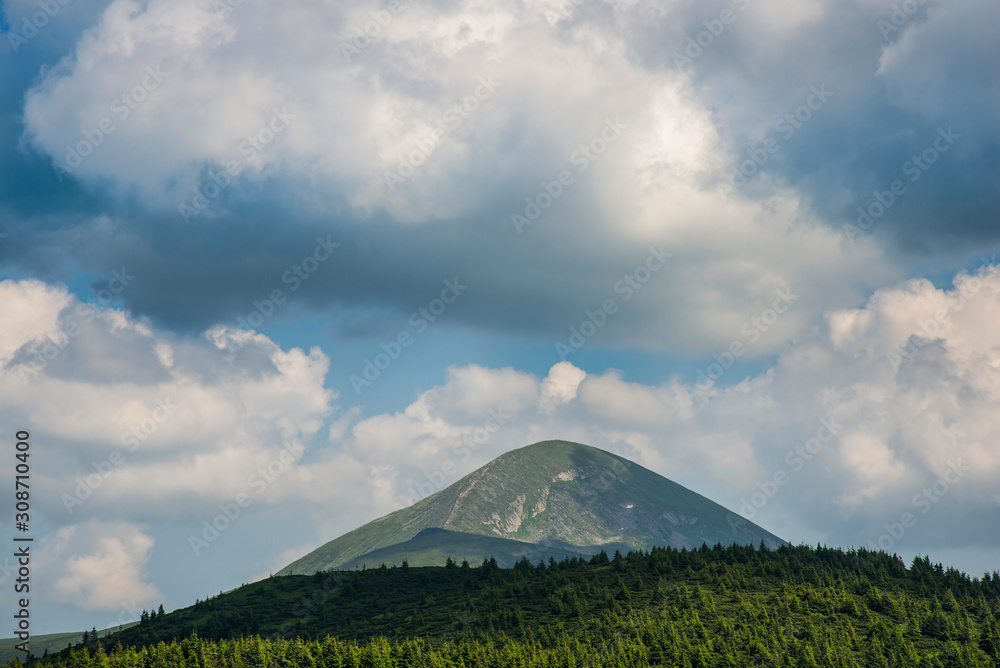 Carpathian mountains landscape in summer