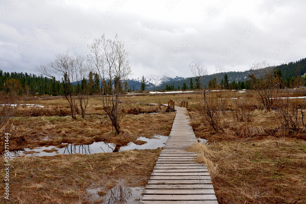 landscape, water, sky, lake, nature, blue, view, pond, river, swamp landscape, water, sky, lake, nature, blue, view, pond, river, swamp