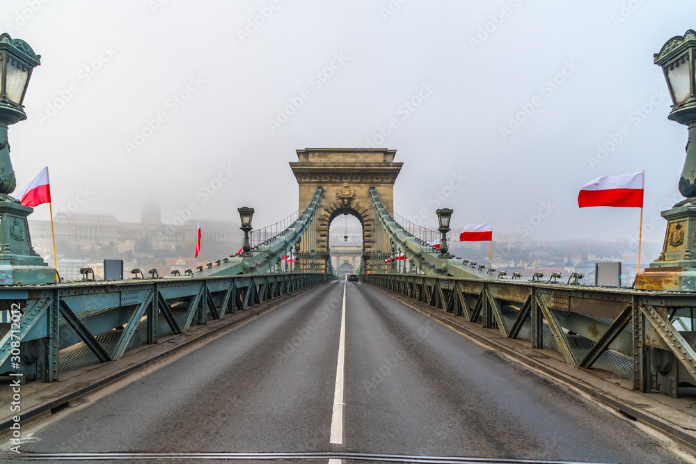 Fototapeta premium Beautiful view of the Chain Bridge over the Danube river in Budapest