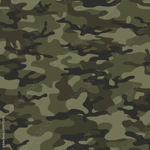  Abstract camouflage pattern for printing clothes, fabrics.