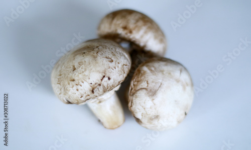 Champignon mushrooms or Agaricus bisporus (jamur kancing) on white background.