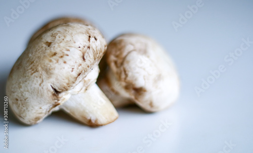 Champignon mushrooms or Agaricus bisporus (jamur kancing) on white background.