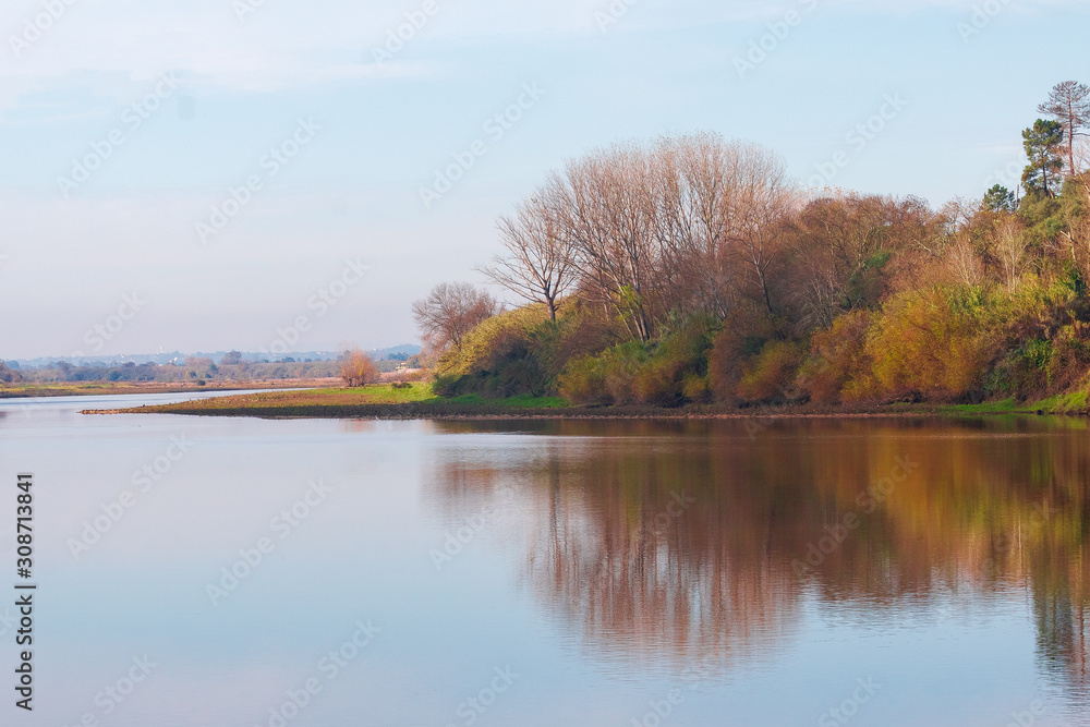 Autumn forest river reflection  landscape