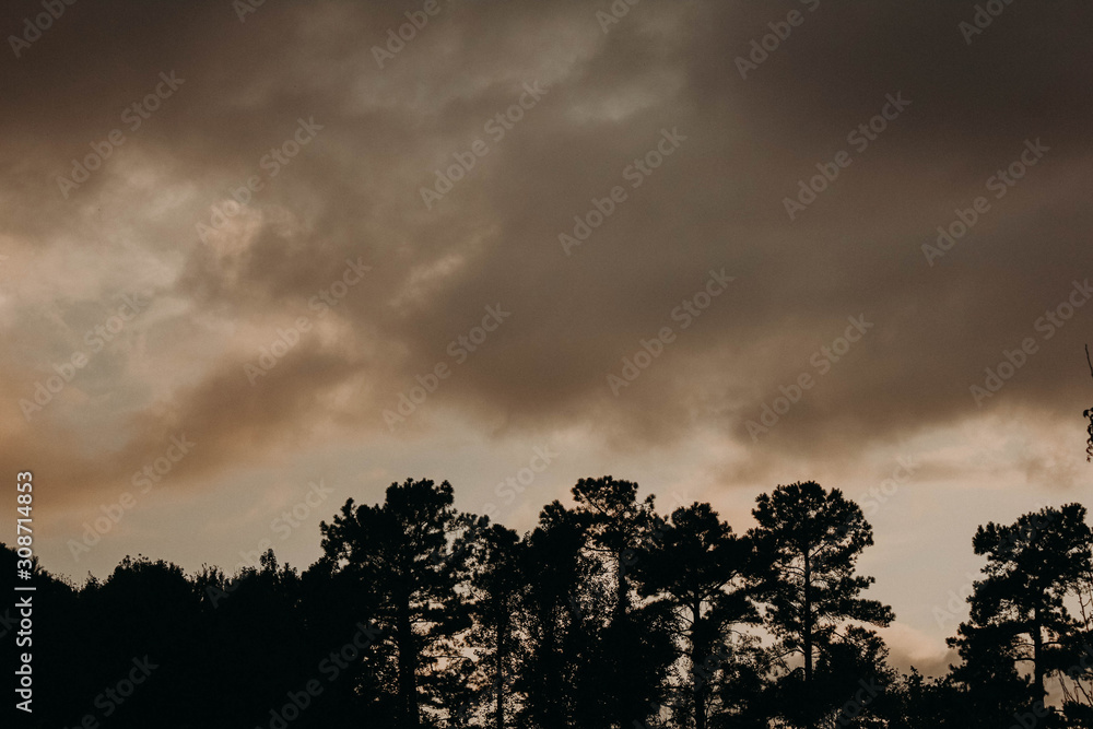 Fototapeta premium dramatic sky with clouds and trees