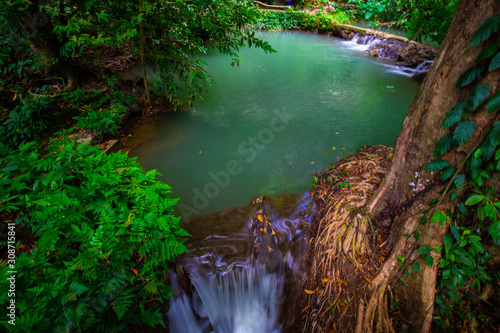 Waterfall in tropical deep rain forest with green tree