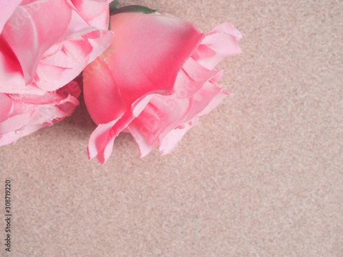 beautiful pink roses on wooden background with space for text