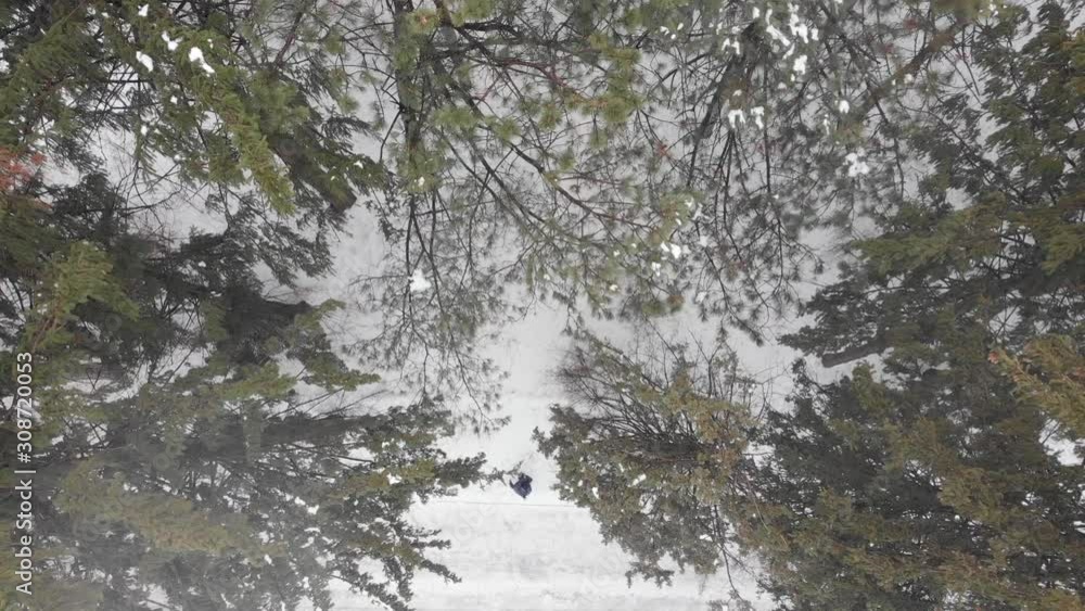 birds eye view, person walking in the forest birds eye view, person walking in the forest