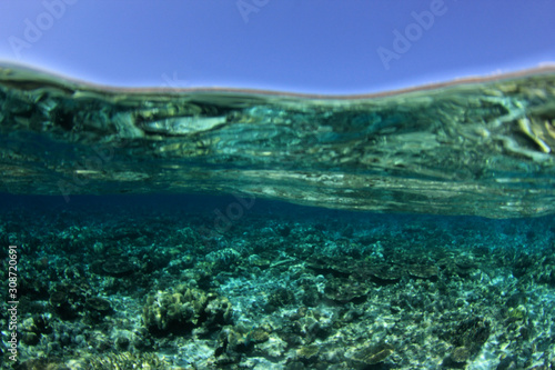 Coral reef and island split photo