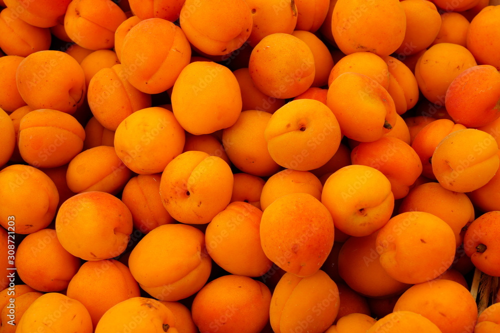 Ripe orange apricots in bulk at a farmers market Ripe orange apricots in bulk at a farmers market