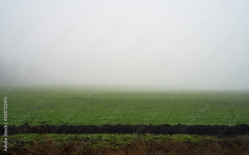 green field in foggy haze green field in foggy haze