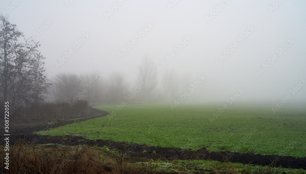 green field in foggy haze green field in foggy haze