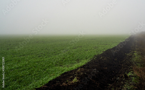 green field in foggy haze