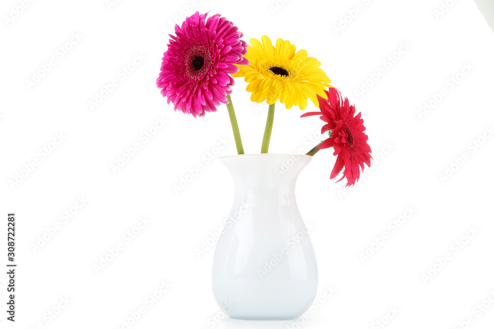 Ceramic vase with gerbera flowers isolated on white background