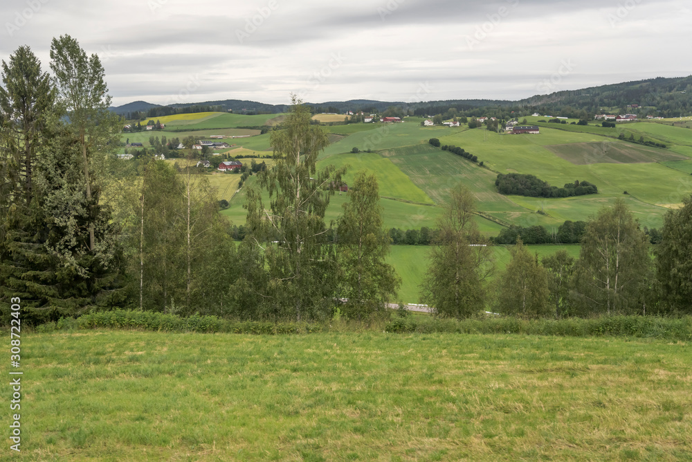 trees in green countryside, near Honefoss, Norway trees in green countryside, near Honefoss, Norway