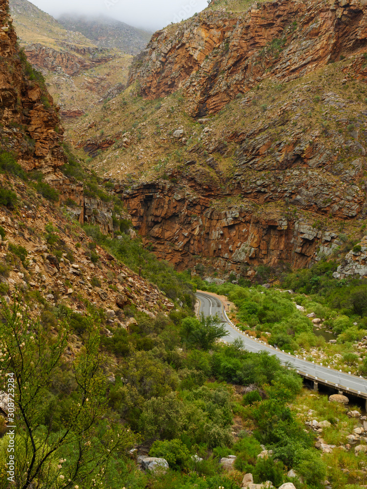 Fototapeta premium GH5R308511