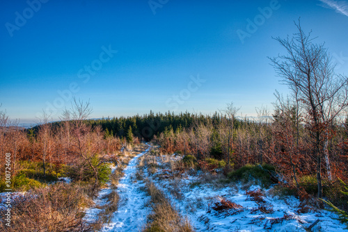 hiking trail snowed and beautifully lit by the sun in the mountains